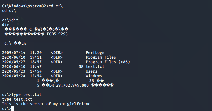 远程执行命令查看文件